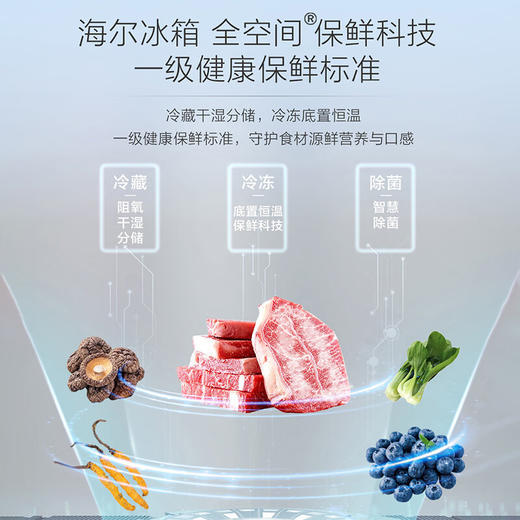 海尔双系统623升594MM零嵌入底部散热双蒸器全空间保鲜EPP超净冰箱 双系统623升零嵌入+594超薄箱体+全空间EPP 商品图2