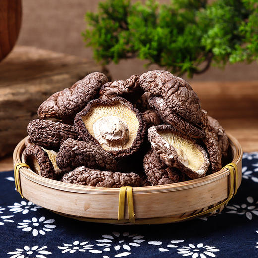 【贵丰 东北香菇干货 500g装】食用菌香菇干货 东北香菇干 商品图0