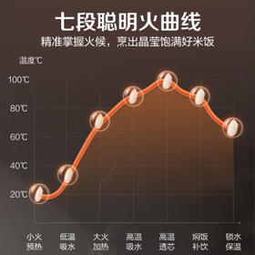 苏泊尔（SUPOR）电饭煲0涂层大容量4升电饭锅3-4人316L不锈钢内胆家用煮饭煮粥锅智能多功能微压电饭锅SF40FC9001