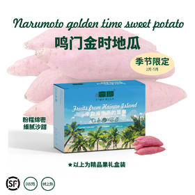 海南鸣门金时地瓜 比哈根达斯冰淇淋还好吃的地瓜  顺丰包邮