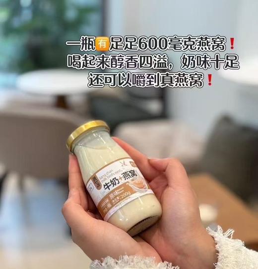 靓盏牛奶+燕窝200g*6瓶 商品图3