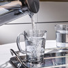 格娜斯 玻璃杯水杯茶杯杯子套装家用待客带把牛奶杯高颜值泡茶杯杯架 商品缩略图1