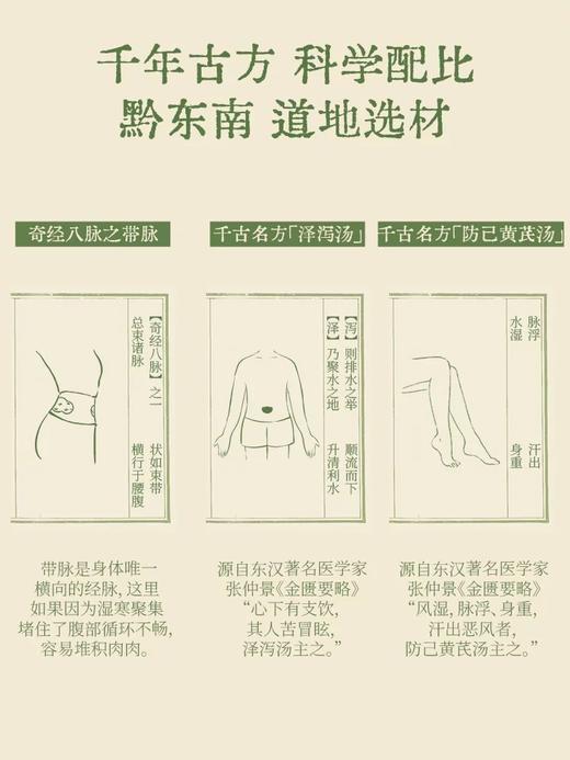 3盒草本贴 真不二 轻盈泽泻白芍防己黄芪 A-4827 商品图7