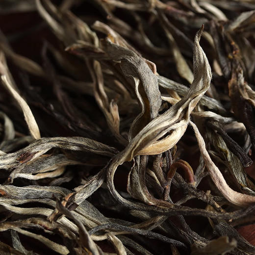 【签约冰岛老寨05号门牌】2025年头春冰岛老寨广场一类大单株古树100克/盒 商品图2