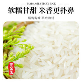 舶元（Poyuan）马坝油粘米10斤广东油粘米煲仔饭专用米软香大米地标米团购送礼 /粮油调味 /米 /油粘米
