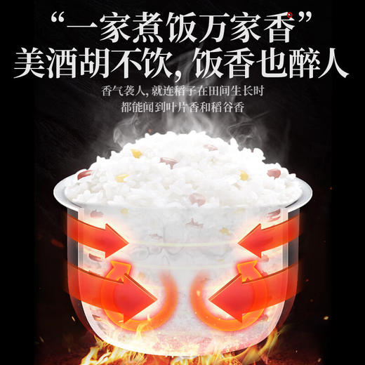 乔府大院 五常大米（贵拾鲜定制）5kg 商品图2