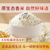 瑶珍 溪谷珍香米10斤 25年新米 猫牙米 长粒香米  大米 原生态 真空 /粮油调味 /米 /长粒香米 商品缩略图1