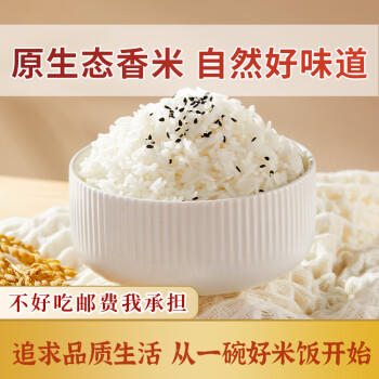瑶珍 溪谷珍香米10斤 25年新米 猫牙米 长粒香米  大米 原生态 真空 /粮油调味 /米 /长粒香米 商品图1