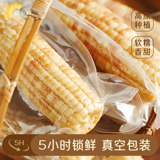 【糯小鲜】花糯小玉米1.5kg袋 商品图3