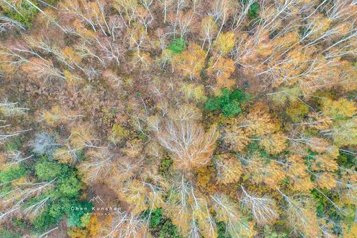 【龙江秋色G331】大小兴安岭、中俄北极三岛、五大连池、北红村、北极村、龙江大弯、画山、伊春五花山、茅兰沟13天摄影创作团 商品图5