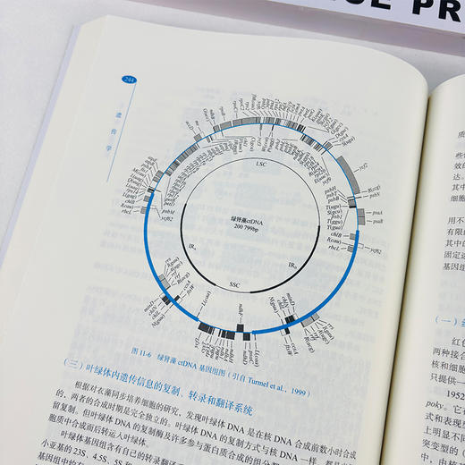 遗传学 第5五版 生命科学经典教材系列 刘庆昌 主编 系统地介绍了遗传学的基本概念 基本原理 基本方法等 9787030807267科学出版社 商品图4