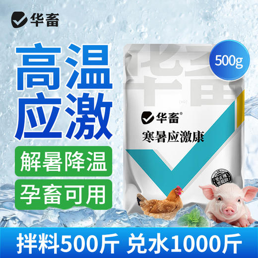 华畜 寒暑应激康1斤 高温应激 解暑降温 孕畜可用 商品图0