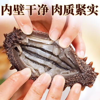 三只海豚干海参 大连海参干货辽参刺海参国标高泡发海产13-16只/50g /粮油调味 /南北干货 /干海参 商品图5