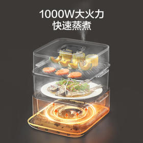 苏泊尔（SUPOR）电蒸锅炖蒸煮一体 0涂层不锈钢底电煮锅 电火锅 多功能家用智能电热锅 10升多用途锅ZN23FC860