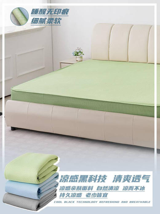 【限时抢购】【彼选】可机洗复合三明治（3D网眼）凉感软席凉席（床笠款）014C125091 商品图3