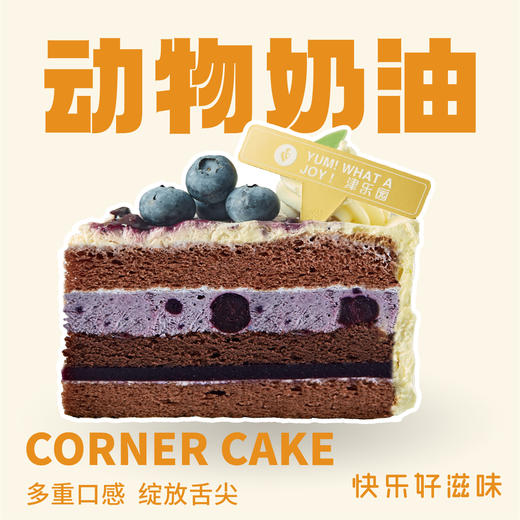 圣雪蓝莓-动物奶油切角蛋糕 商品图0