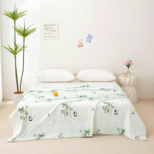 臻彩凉感夏被 商品图2