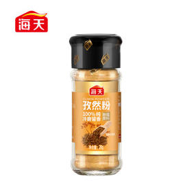 海天 孜然粉28g 纯孜然研制 新疆烧烤料烤肉烤串撒料香辛料 /粮油调味 /调味品 /基础香辛料