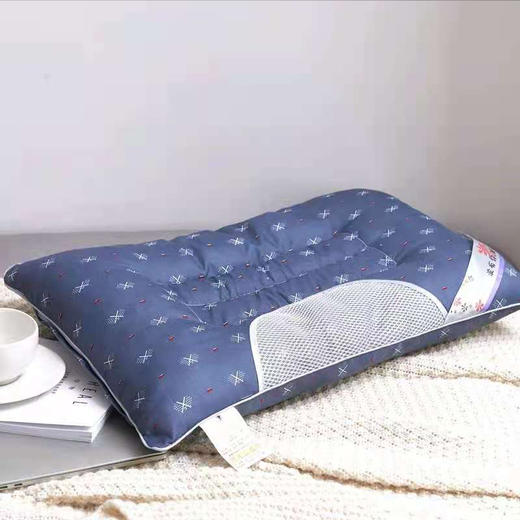 悠梦嘉居决明子磁疗枕 商品图1