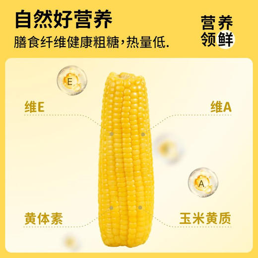 “玉中玉”有机黄糯玉米家庭装 商品图2