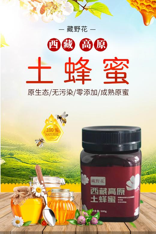 杞冠臻选 |  藏野花西藏高原野生百花土蜂蜜 500g 商品图3