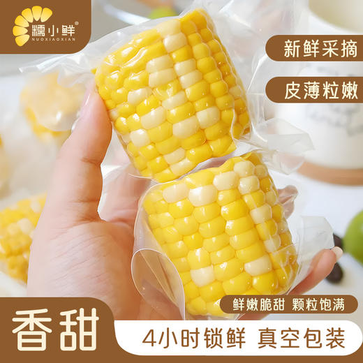 【糯小鲜】水果玉米段 1kg礼盒 商品图3
