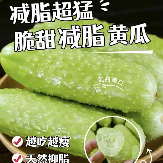 官认『减脂黄瓜』！黄瓜界的“小海参”！可以宣传功效！不用节食、不用运动！“减脂王炸”来了！皮薄肉厚，一口爆汁，水果级脆甜！ 商品图0