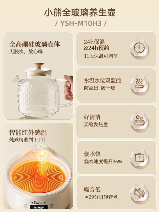 小熊养生壶全玻璃家用多功能小型迷你办公室煮茶器烧水壶 商品图4