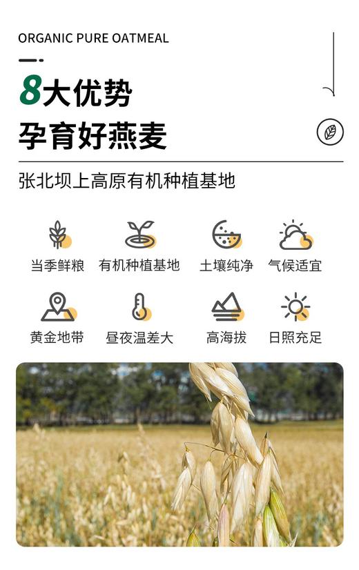 有机燕麦片9.8元1袋420g（内含35g×12包）预售3-5天到 商品图12