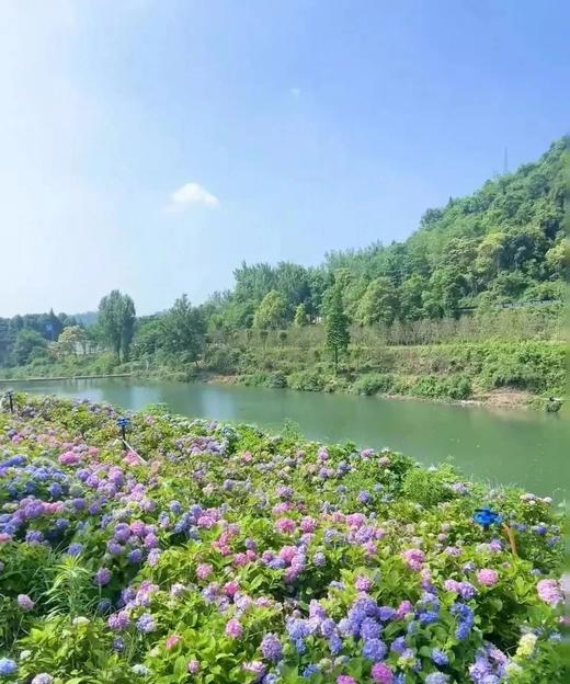 耍水徒步💦【成都大邑·山涯营户外亲子民宿】周末节假日通用不加价
🎐回归自然，享受亲子户外生活好去处～ 商品图4