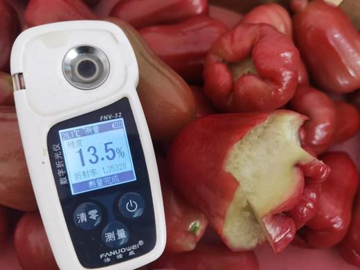 海南黑金刚莲雾 商品图9