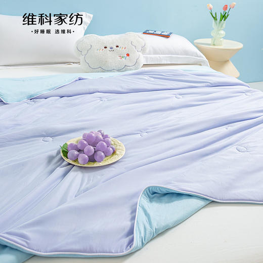 【维科家纺】软糯撞色夏凉被（萄气十足） 商品图2
