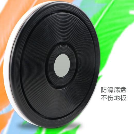 龙达人健身按摩扭腰盘 LDR-N38 商品图2