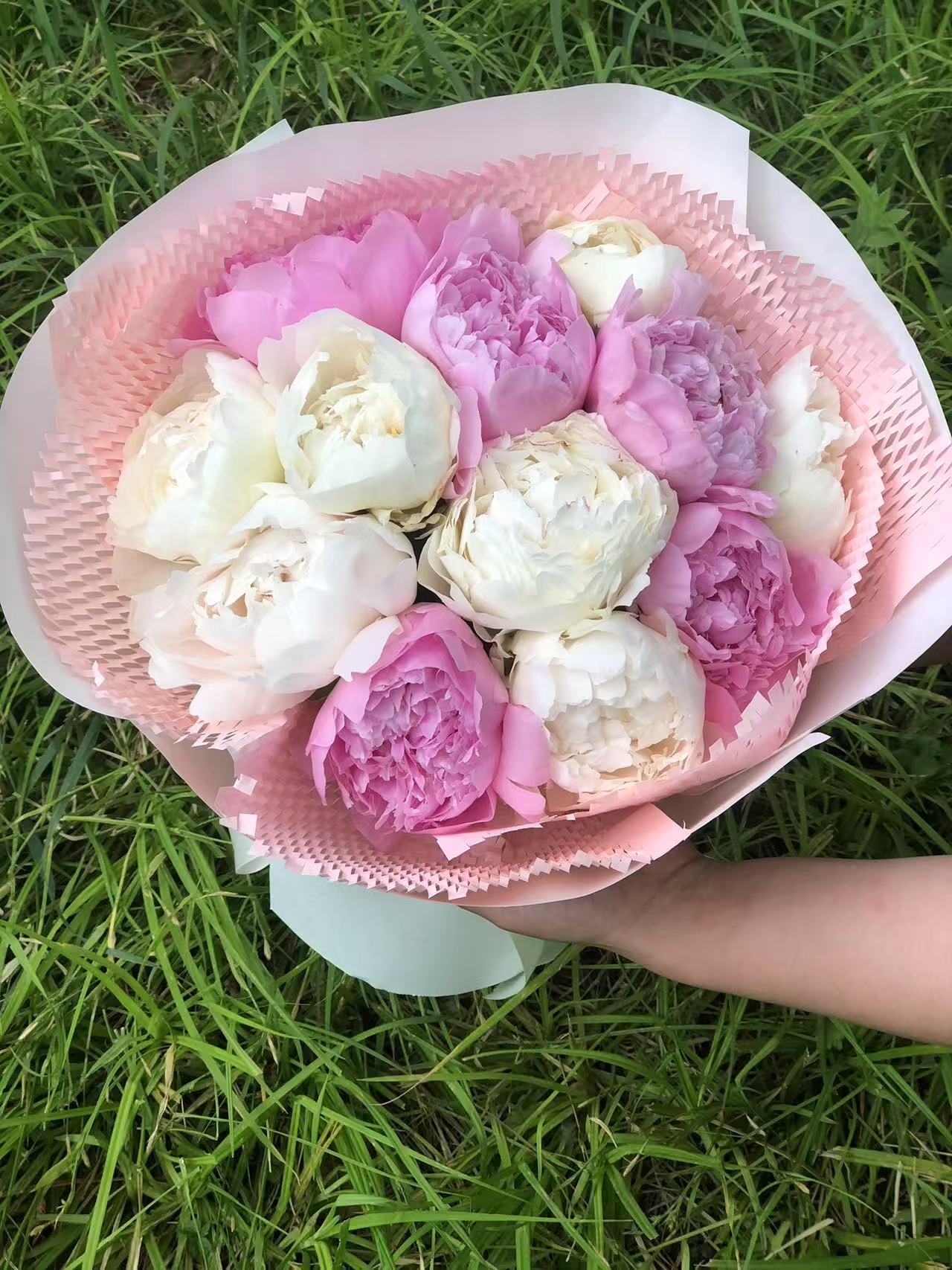 粉白色芍药花束