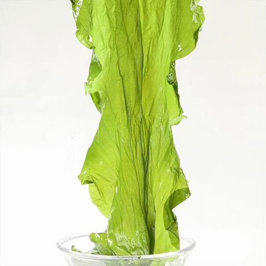 【有机认证】海芝宝有机盐渍海带 5斤家庭装 新鲜嫩薄爽口美味煮汤凉拌火锅家商用食材 商品图3