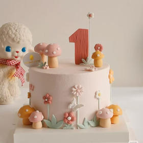 6寸定制蛋糕（开心果草莓）