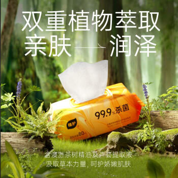 植护99.9%卫生杀菌湿巾80片*3包 茶树精油洁肤家庭装加大加厚带盖抽取 /家庭清洁/纸品 /清洁纸品 /湿巾 商品图0