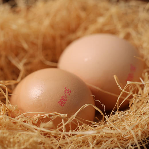 铂鼎鼎有机富硒鸡蛋 有机 散养 富硒 无抗 可生食 OMEGA3 商品图6