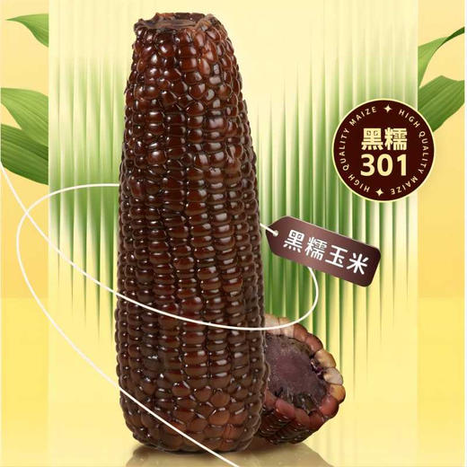“玉中玉”有机黑糯玉米家庭装 商品图3