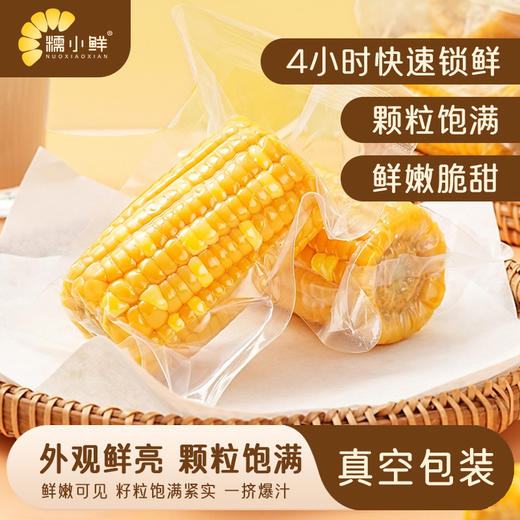 【糯小鲜】水果玉米段 1kg礼盒 商品图1