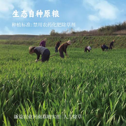 古法特级酱油  500g 商品图6