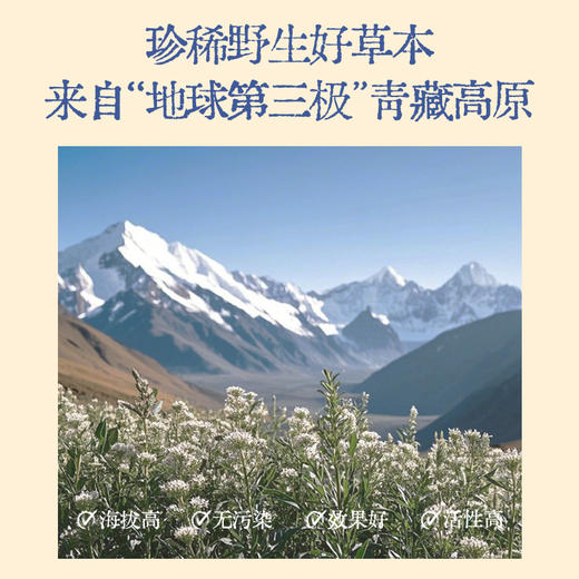 真不二藏传贴系列（青鹏贴/牛黄木香贴/红花巴夏嘎贴/荜茇加木哲贴/豆蔻沉香贴） 商品图1