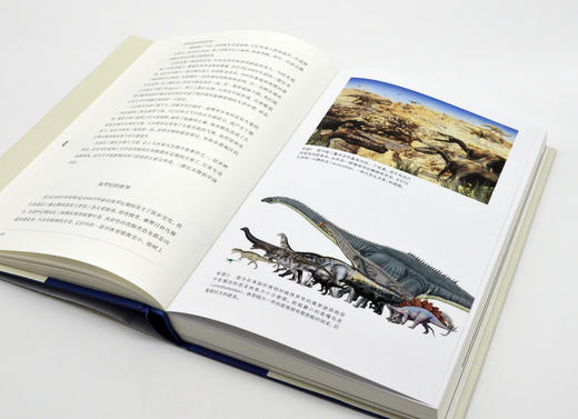【精装】恐龙全书|  科学家讲述的恐龙‘冷知识档案’ 商品图5