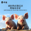 华畜 寒暑应激康1斤 高温应激 解暑降温 孕畜可用 商品缩略图3