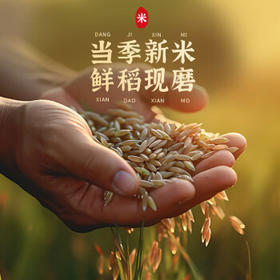 家有农场【五常产地】当季新米 大米五常大米 东北大米20斤箱装源头直发 /粮油调味 /米 /稻花香米