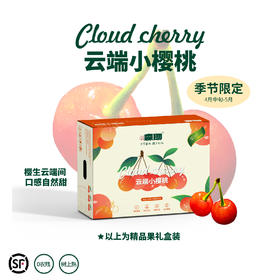 四川冕宁 云端小樱桃酸甜脆爽鲜嫩多汁 顺丰空运包邮