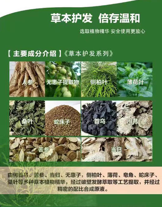 迦密之泉【草本植物养发洗发水】头皮管理专用洗发水！不只是清洁！植物养发，滋养头皮、从源头解决发质问题！专业售后一路陪伴，请务必加客服进入售后群！ 商品图3