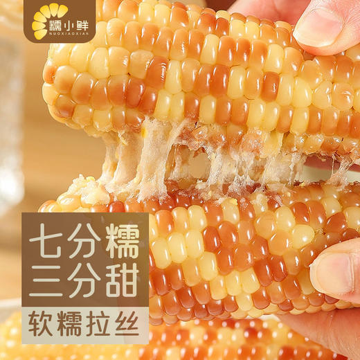 【糯小鲜】花糯小玉米1.5kg袋 商品图4