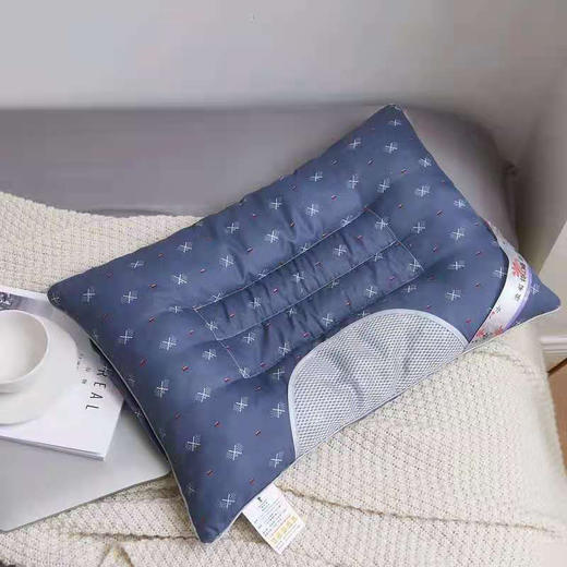 悠梦嘉居决明子磁疗枕 商品图0
