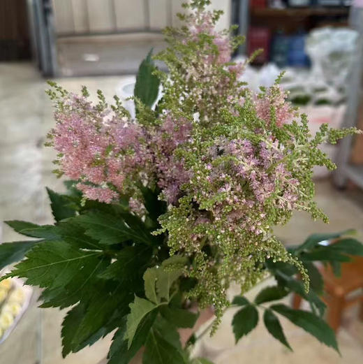 络新妇.粉色 商品图2